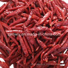 Dried Chili